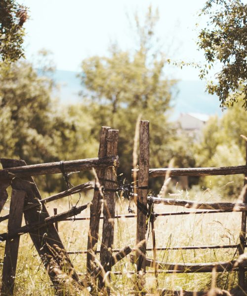 daniel-ramos-_1QGDLBvQDA-unsplash